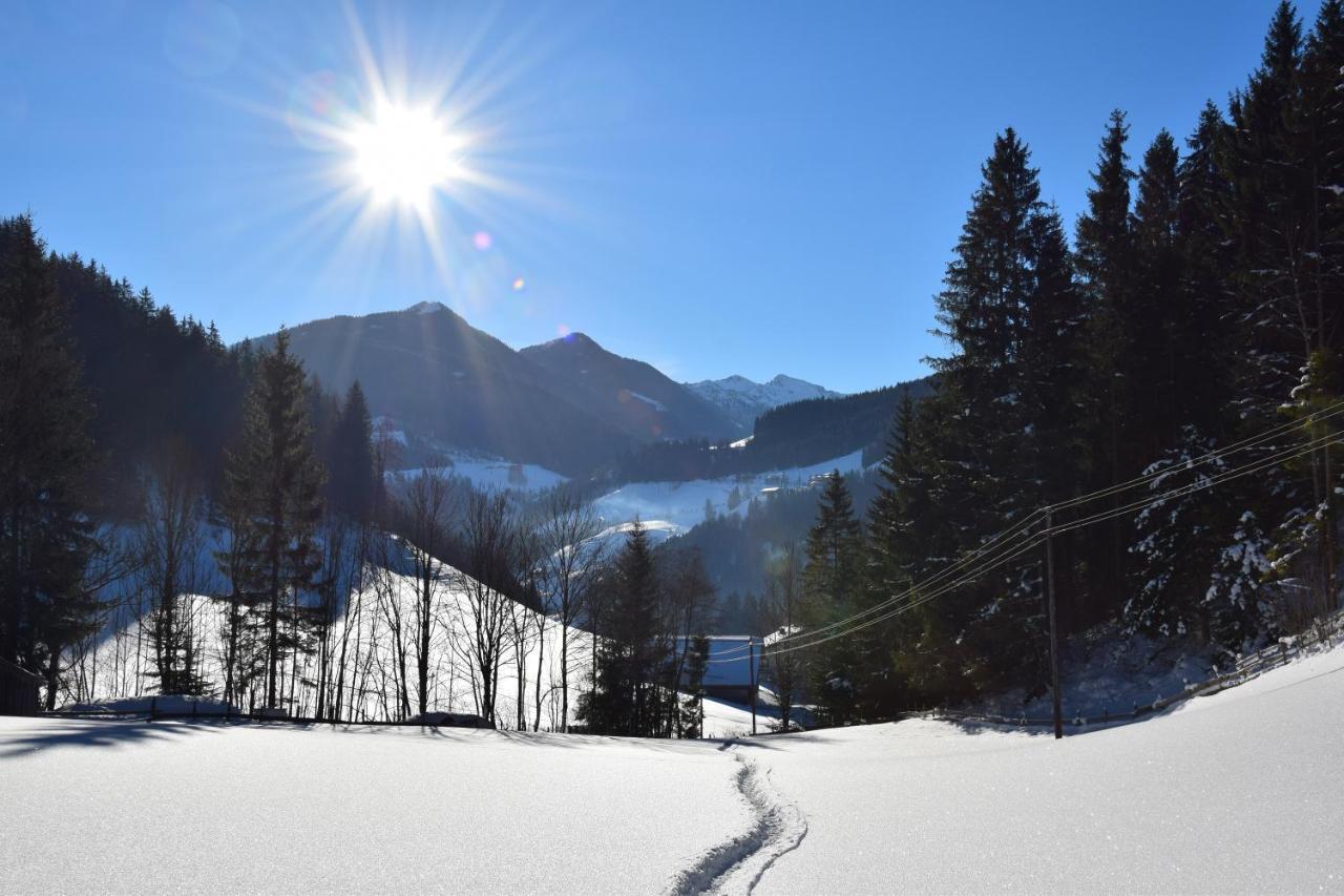 Apartment Obergruberhof Schladming Εξωτερικό φωτογραφία