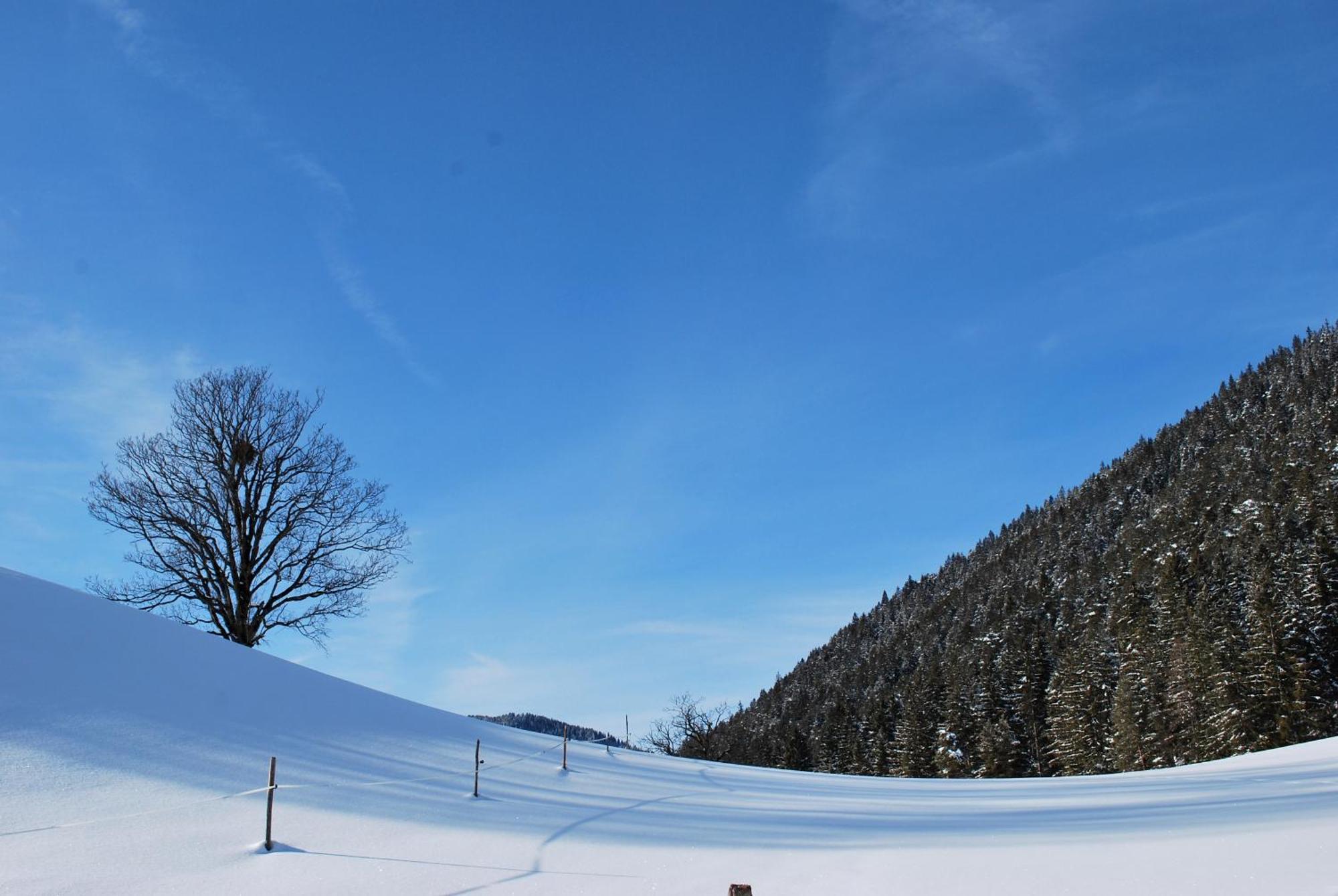 Apartment Obergruberhof Schladming Εξωτερικό φωτογραφία