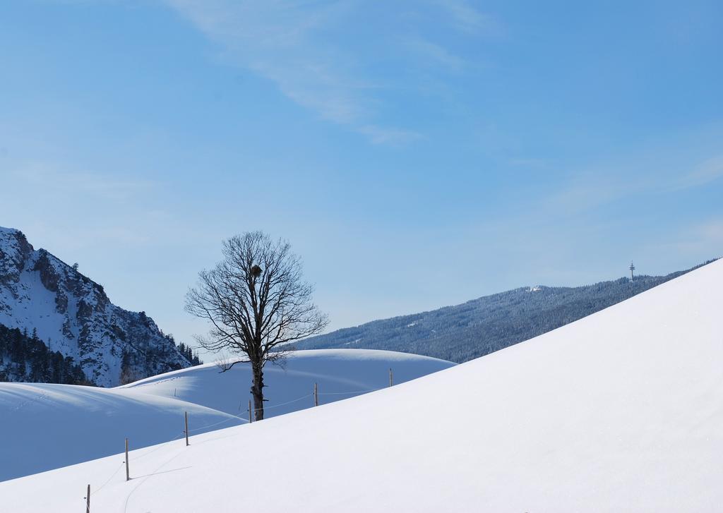Apartment Obergruberhof Schladming Εξωτερικό φωτογραφία